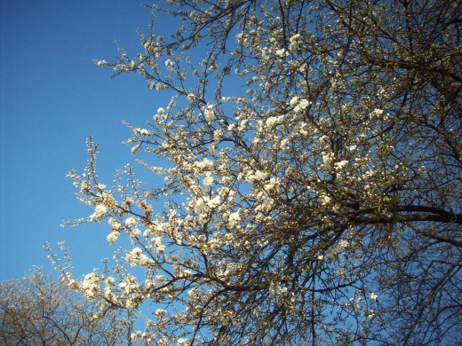 40793 (a): :1600x1200